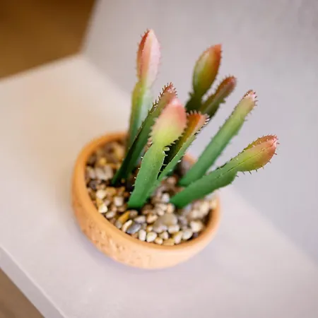 Bjelasnica Lodges * Bjelašnica