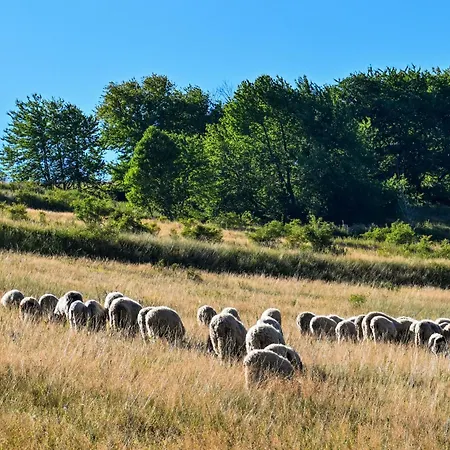 Bjelasnica Lodges Apartment *